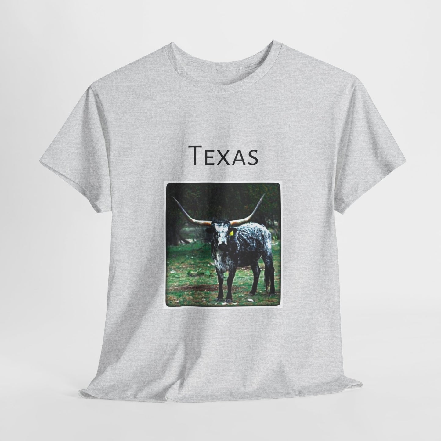 Texas Unisex Heavy Cotton Tee