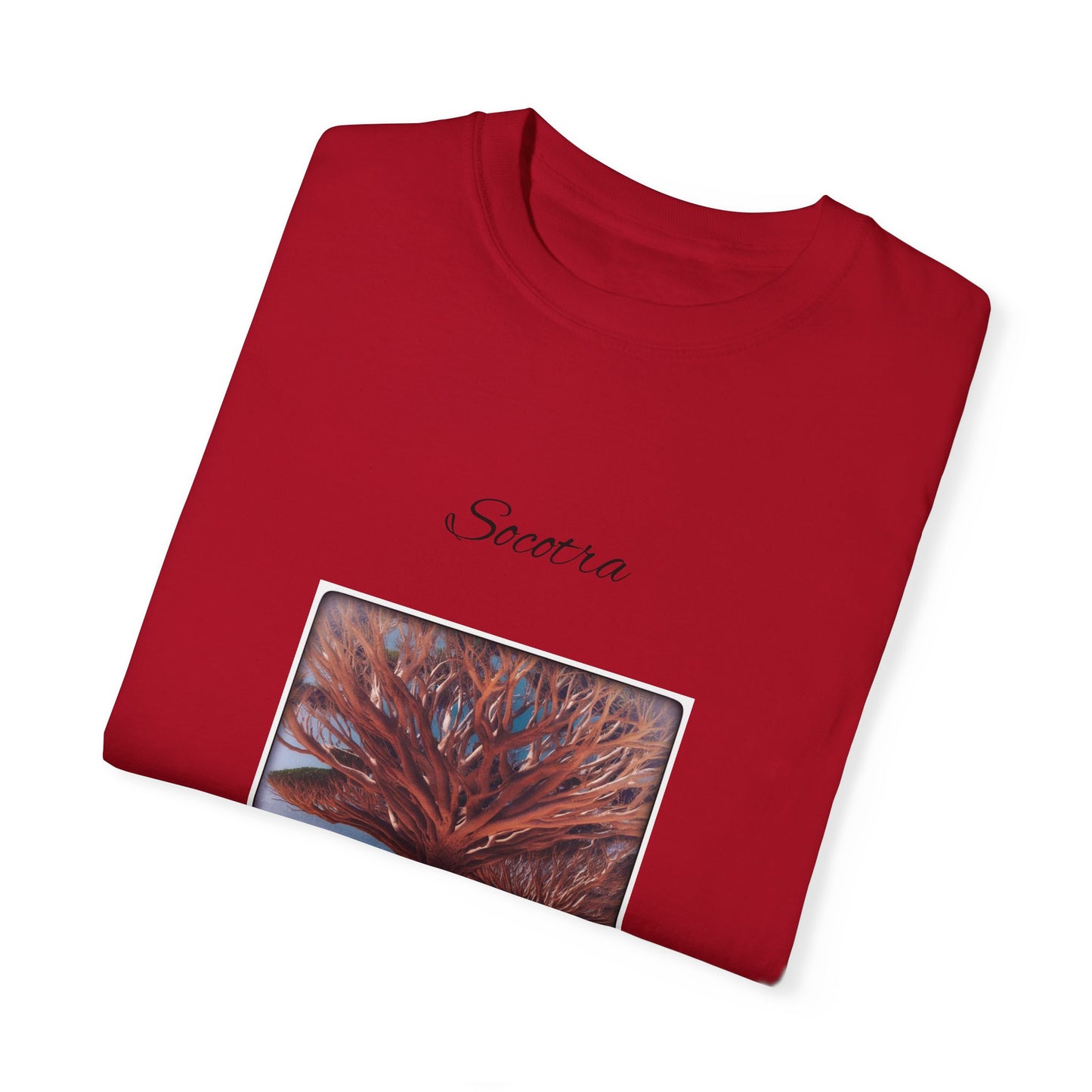 Socotra Unisex Garment-Dyed T-shirt