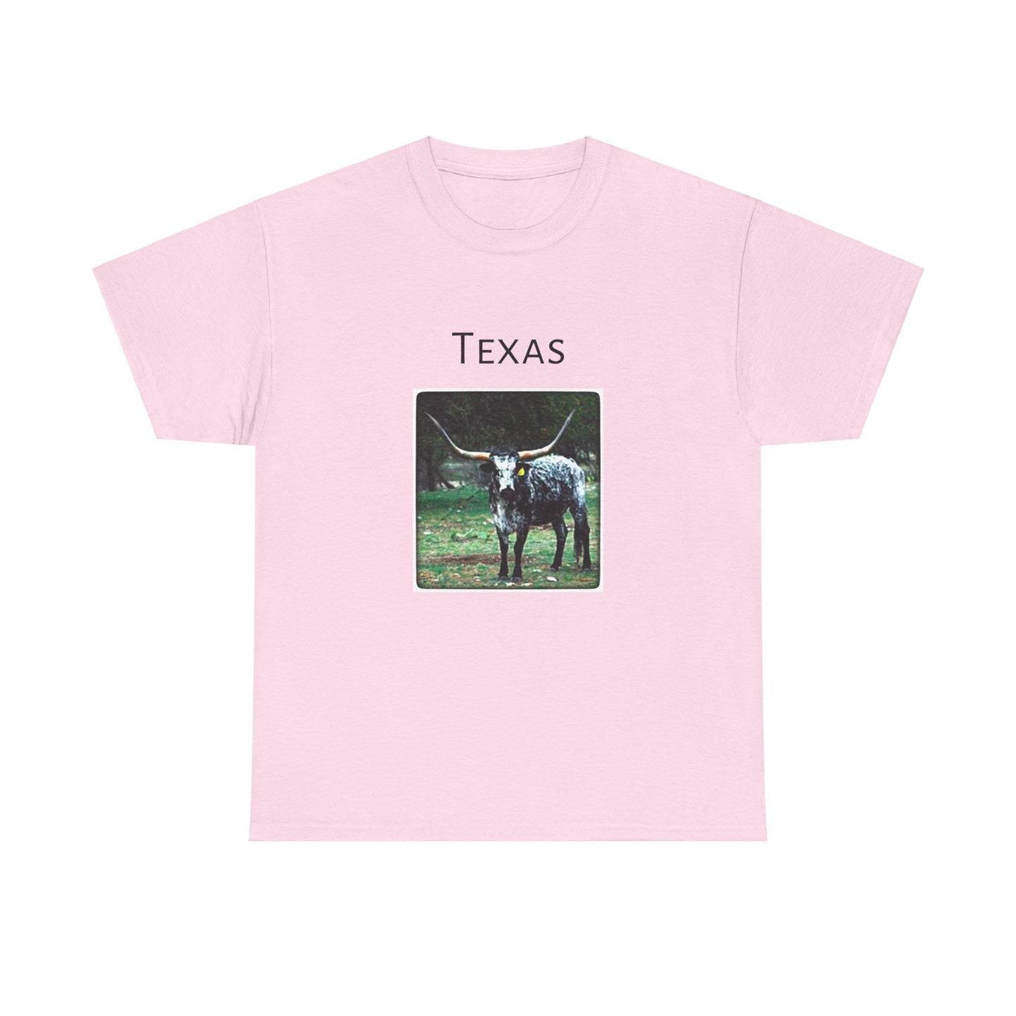 Texas Unisex Heavy Cotton Tee