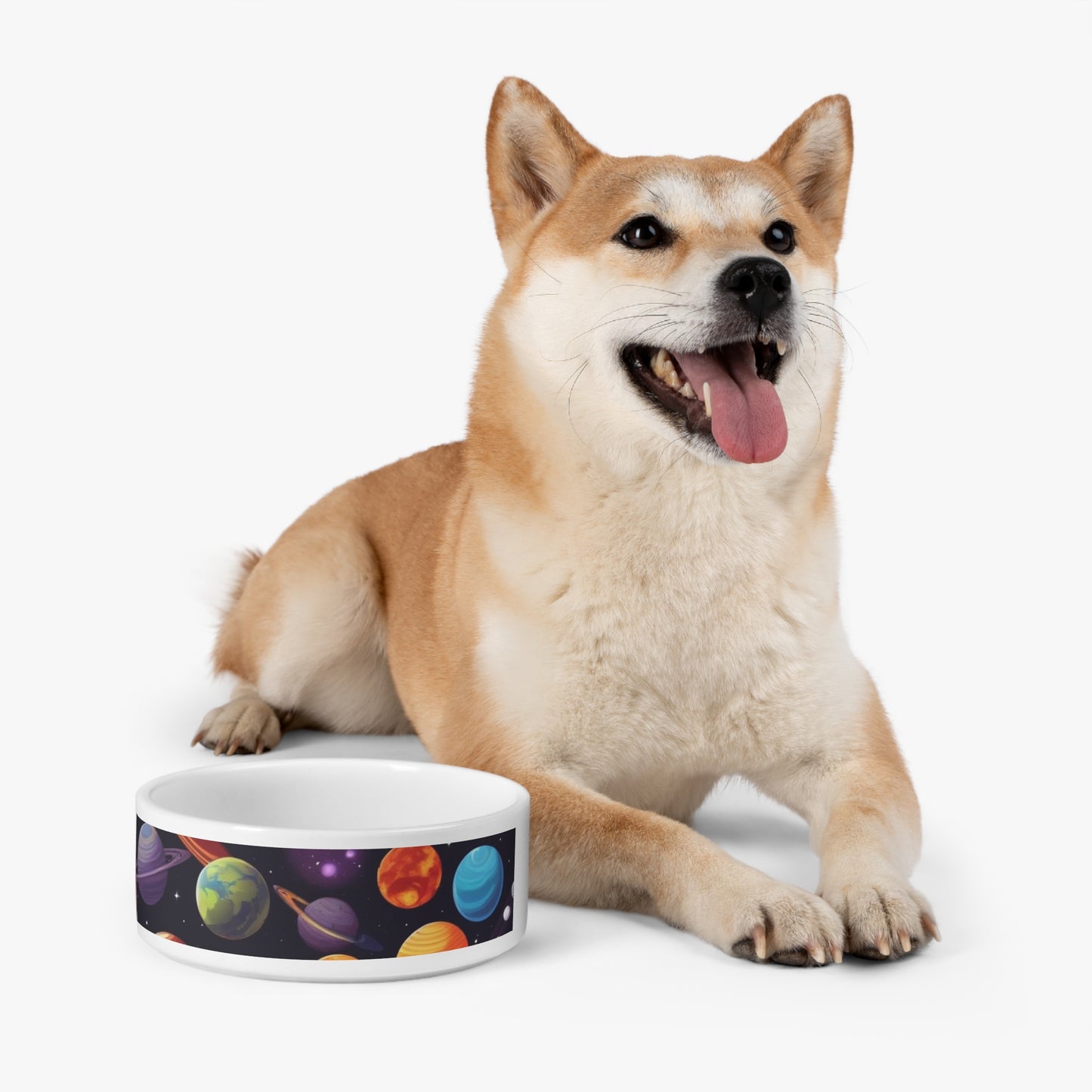 Planets Pet Bowl