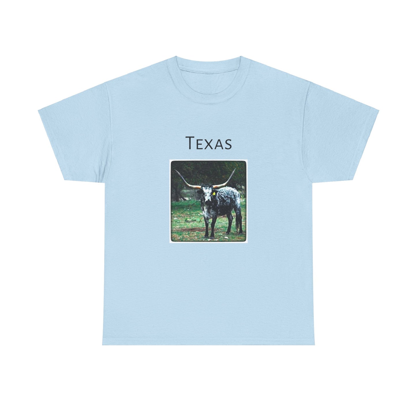 Texas Unisex Heavy Cotton Tee