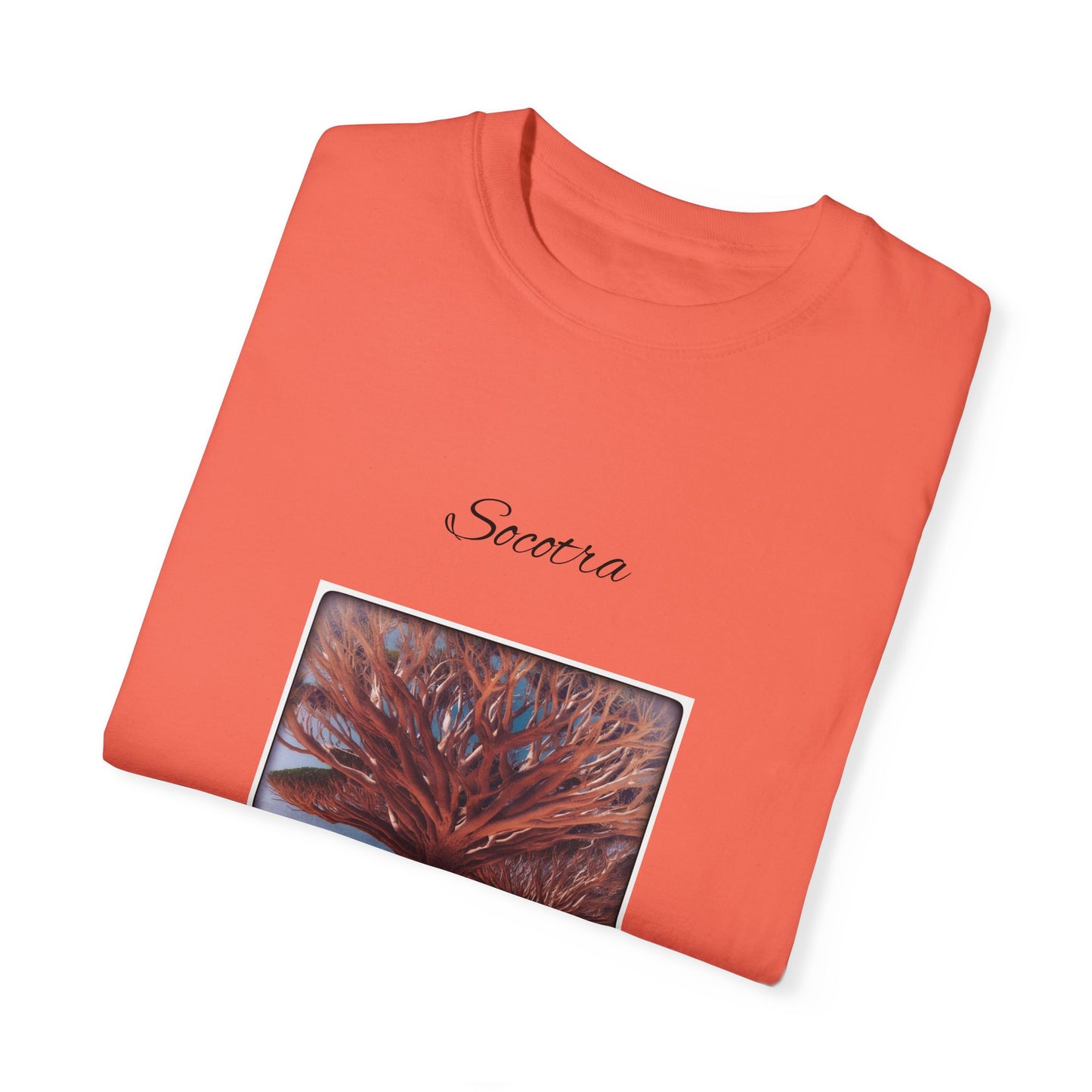 Socotra Unisex Garment-Dyed T-shirt