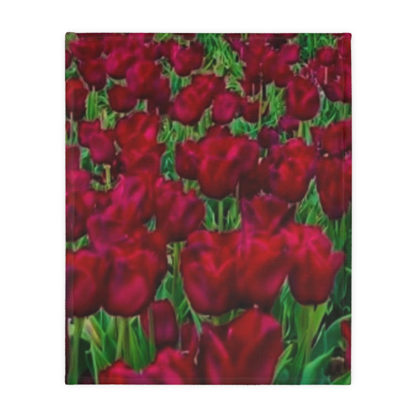 Red Velveteen Microfiber Blanket (Two-sided print)