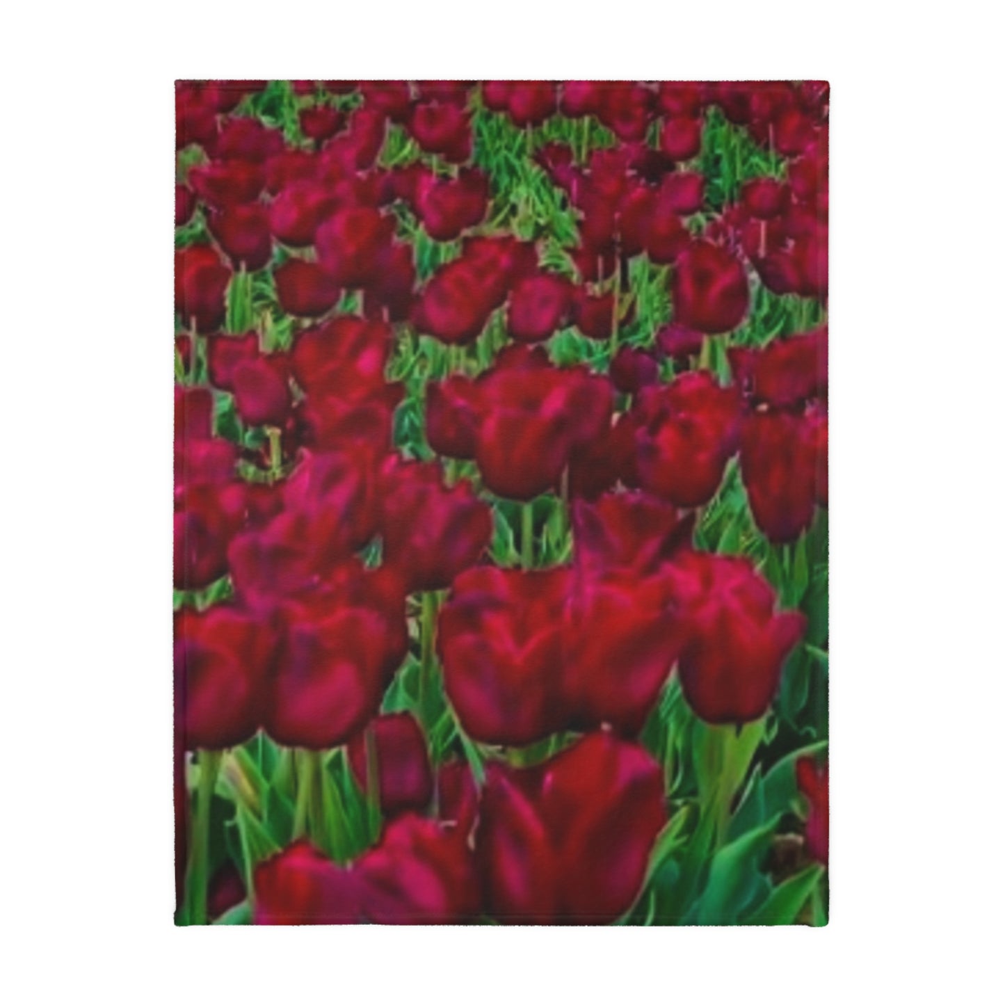 Red Velveteen Microfiber Blanket (Two-sided print)