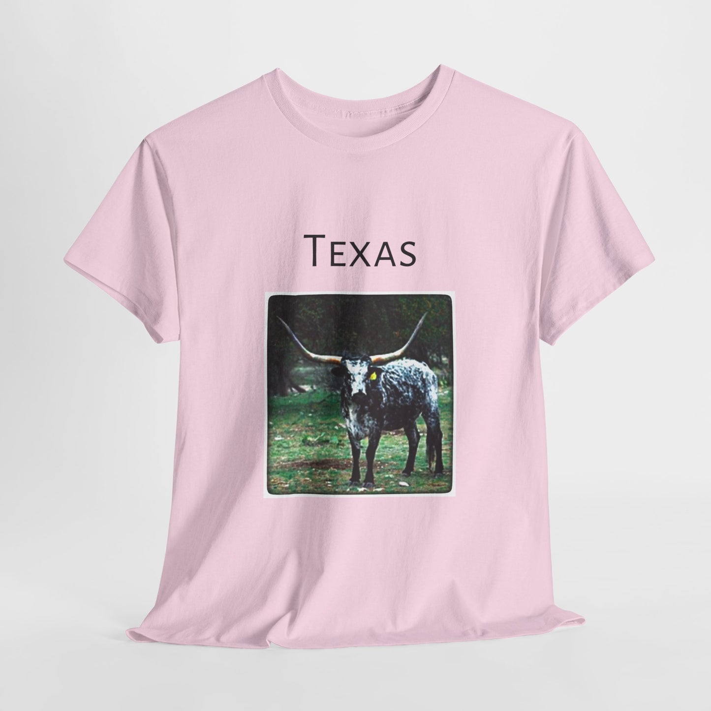 Texas Unisex Heavy Cotton Tee