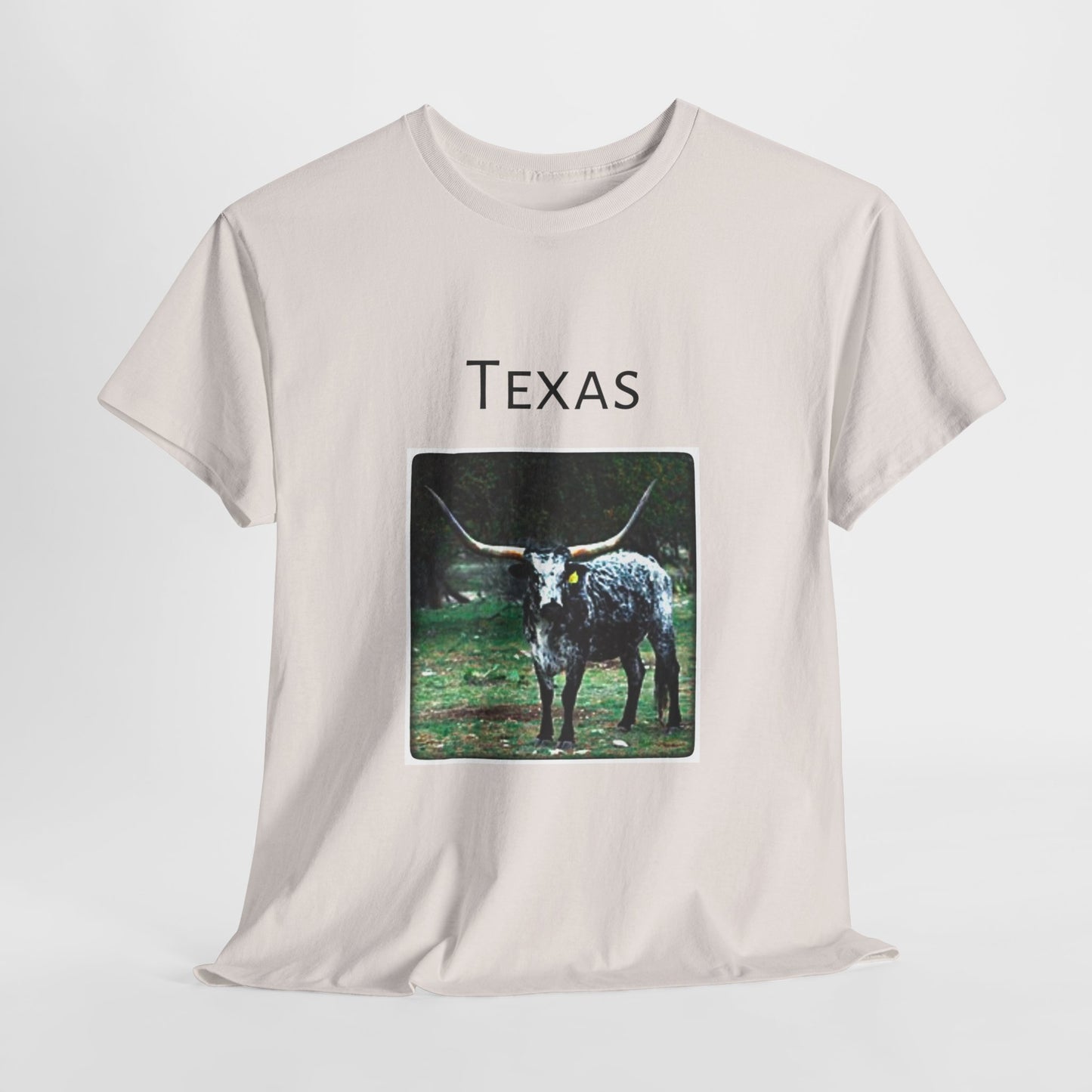 Texas Unisex Heavy Cotton Tee