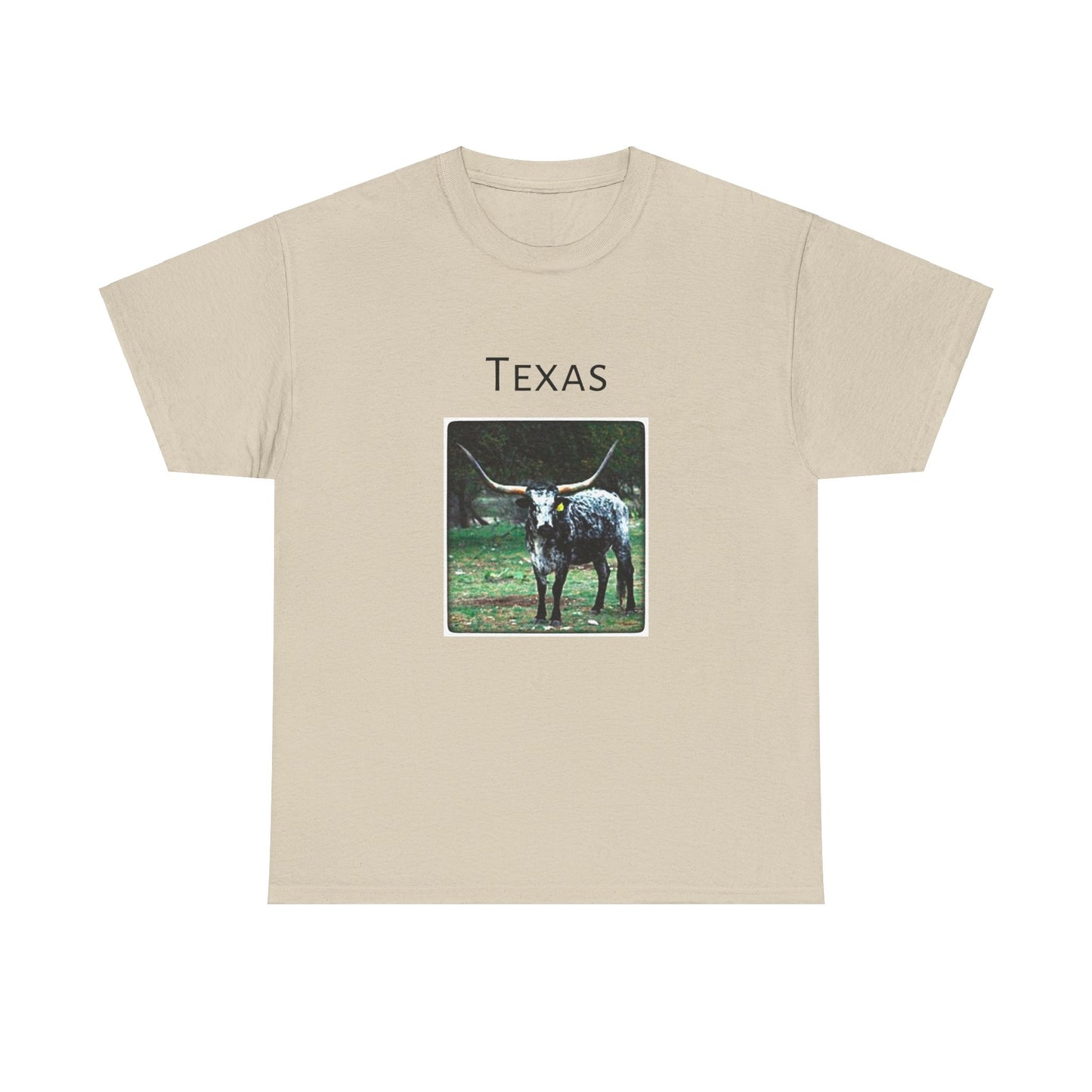 Texas Unisex Heavy Cotton Tee