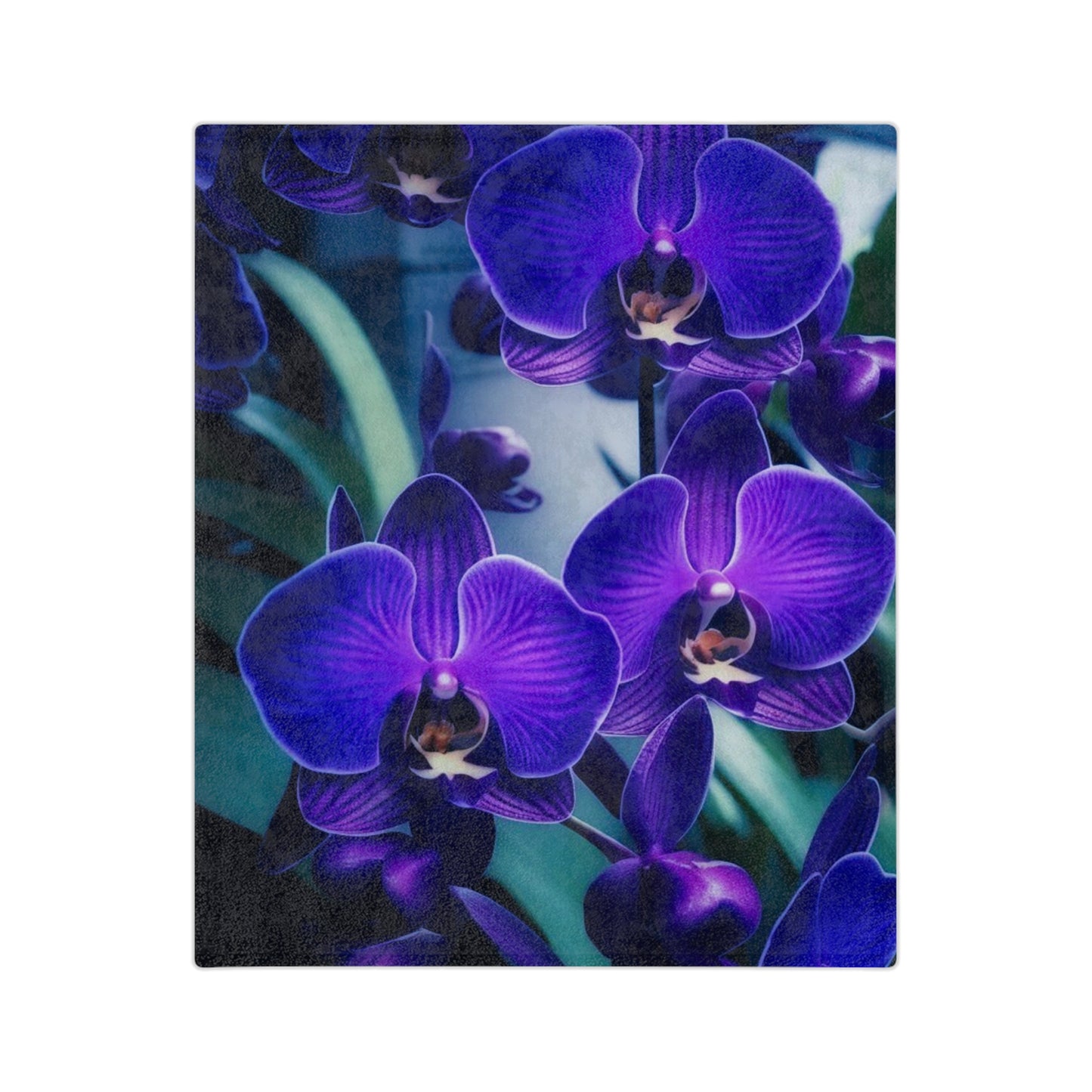 Purple Orchid Velveteen Microfiber Blanket