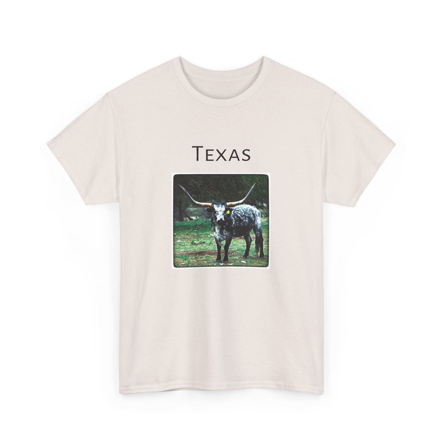 Texas Unisex Heavy Cotton Tee