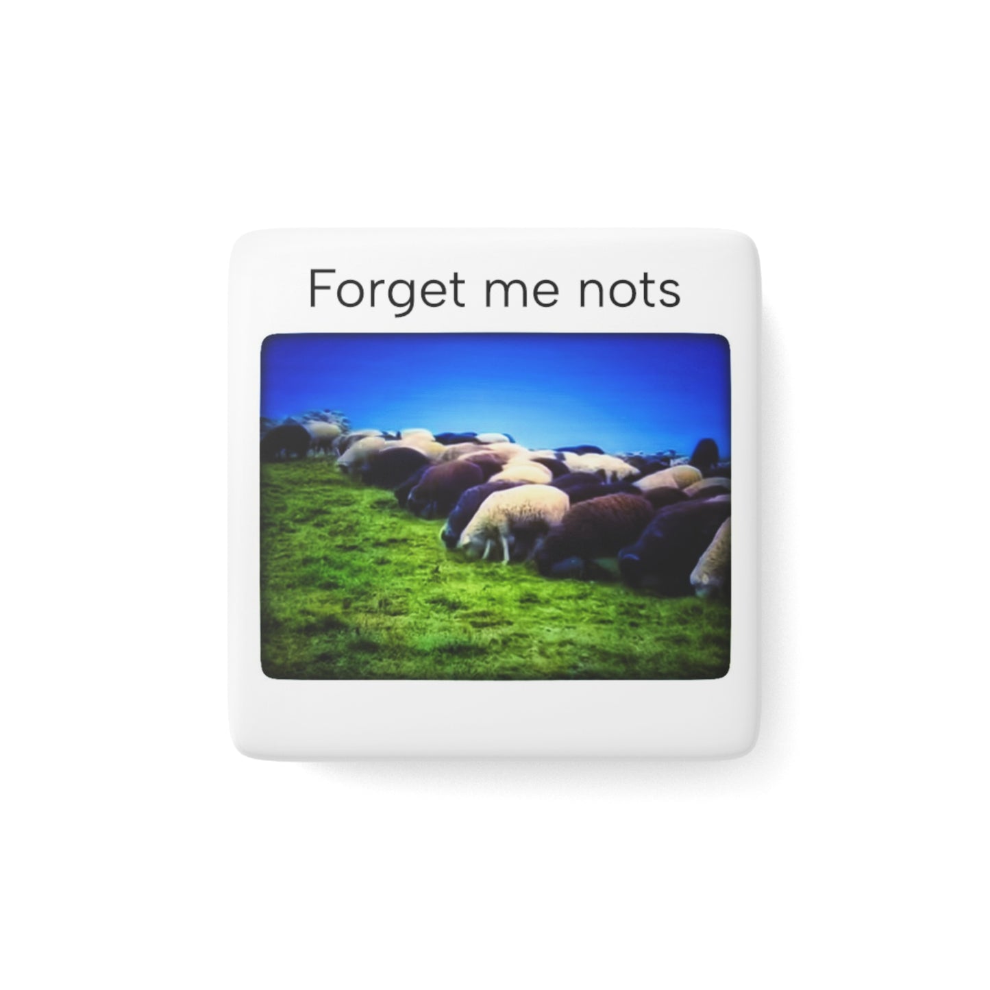 Forget me nots Porcelain Magnet, Square