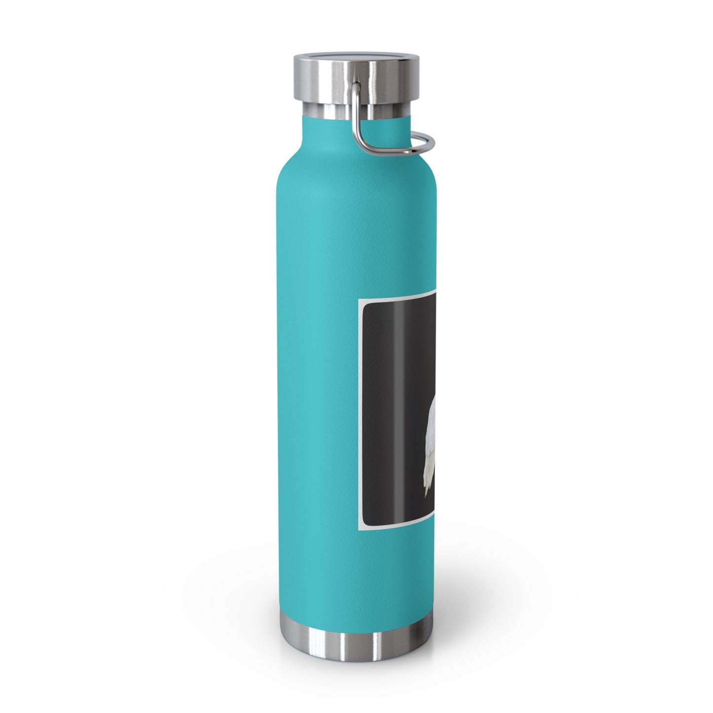 Swan Copper Vacuum Insulated Bottle, 22oz