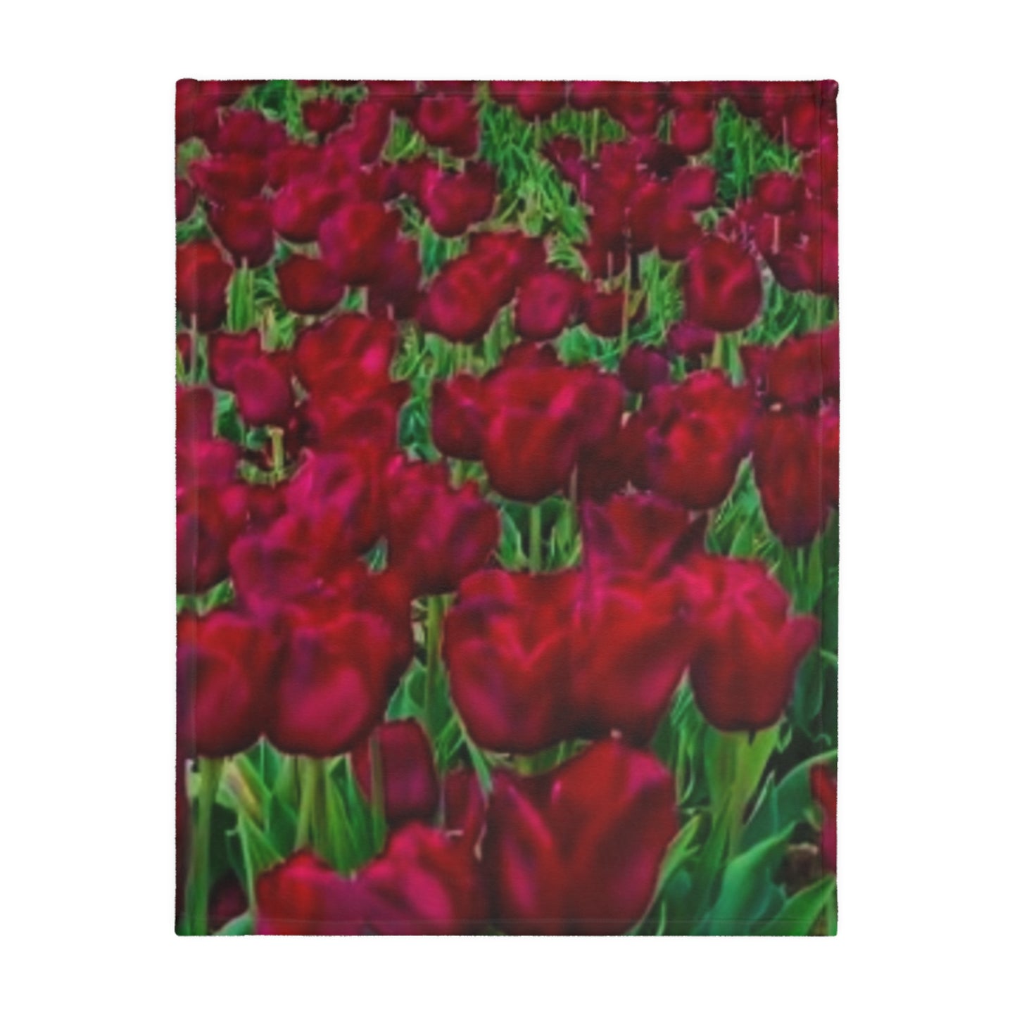 Red Velveteen Microfiber Blanket (Two-sided print)