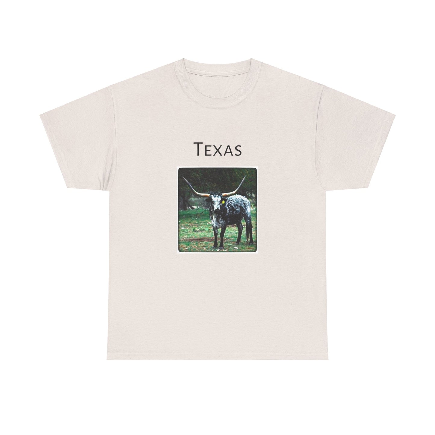 Texas Unisex Heavy Cotton Tee