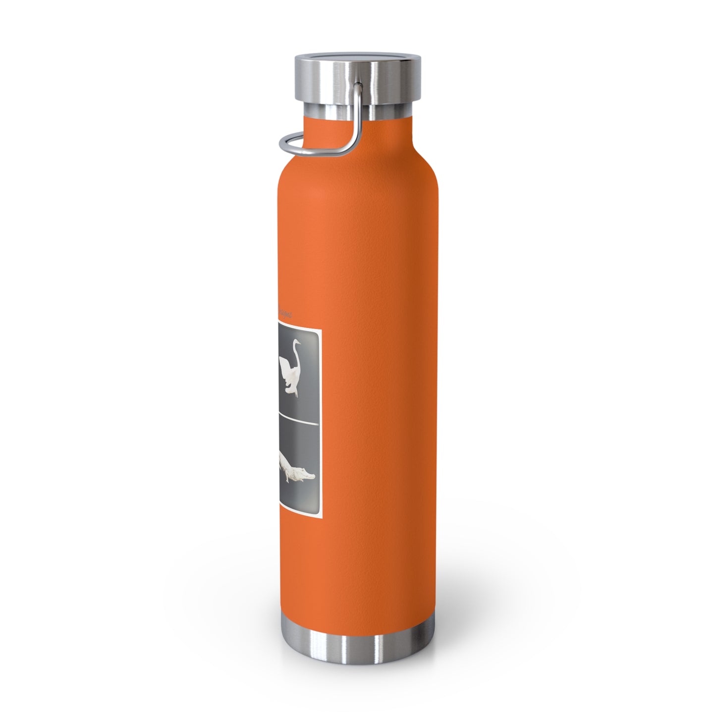 Copper Costa Rica  Vacuum Insulated Bottle, 22oz