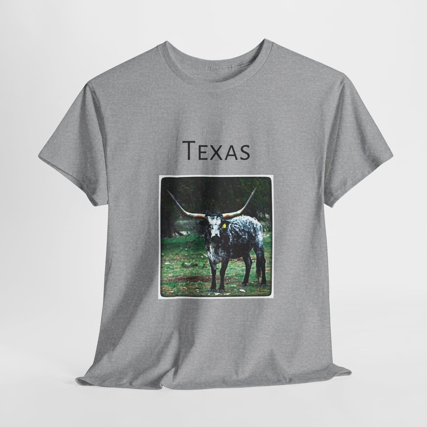 Texas Unisex Heavy Cotton Tee