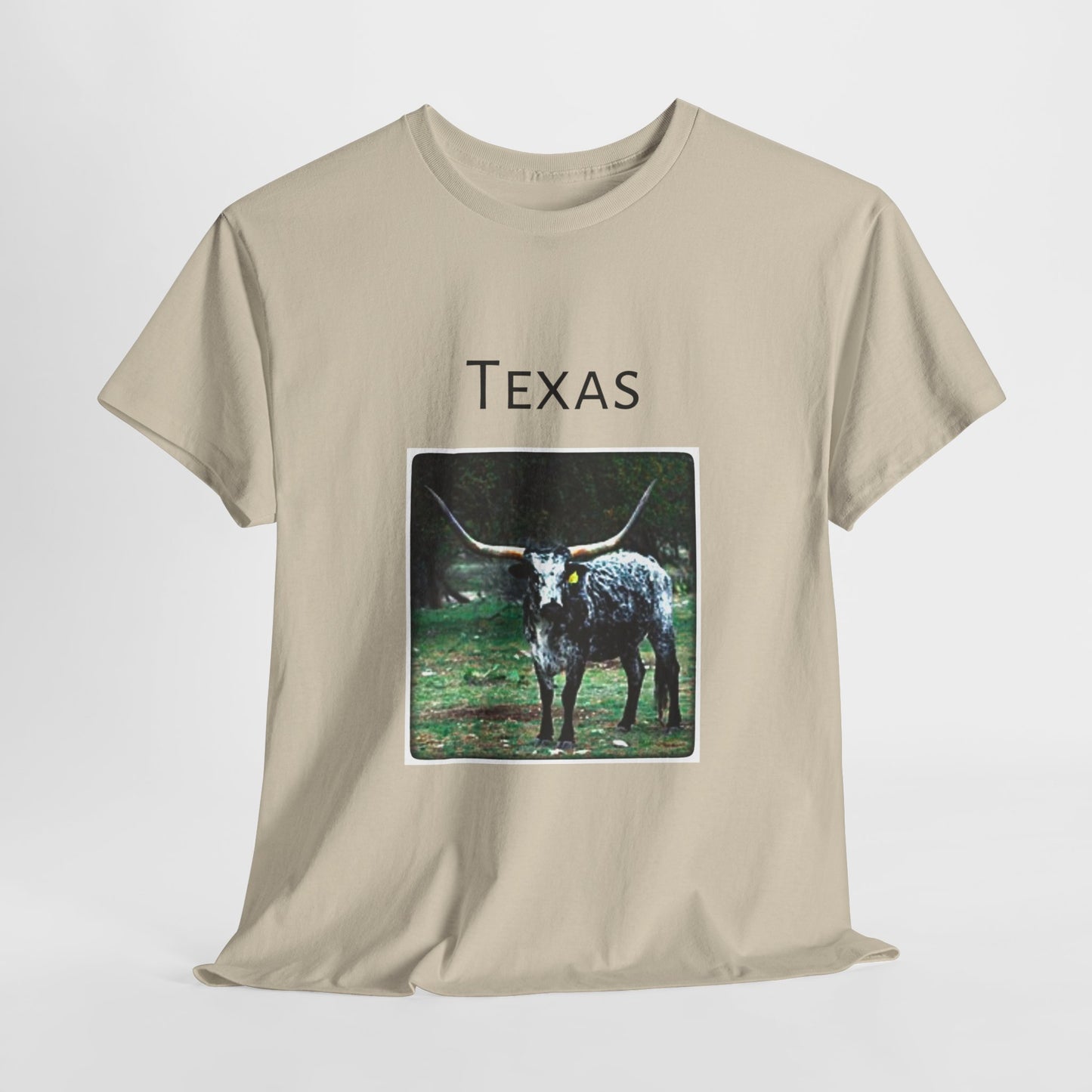 Texas Unisex Heavy Cotton Tee