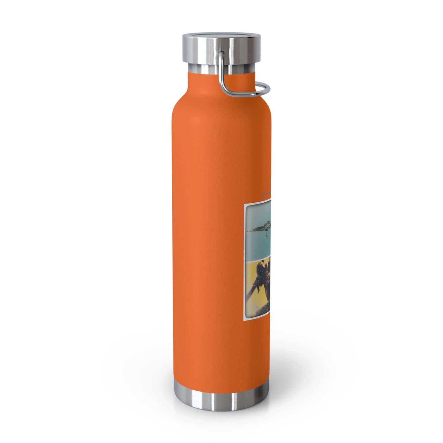 Copper Costa Rica  Vacuum Insulated Bottle, 22oz