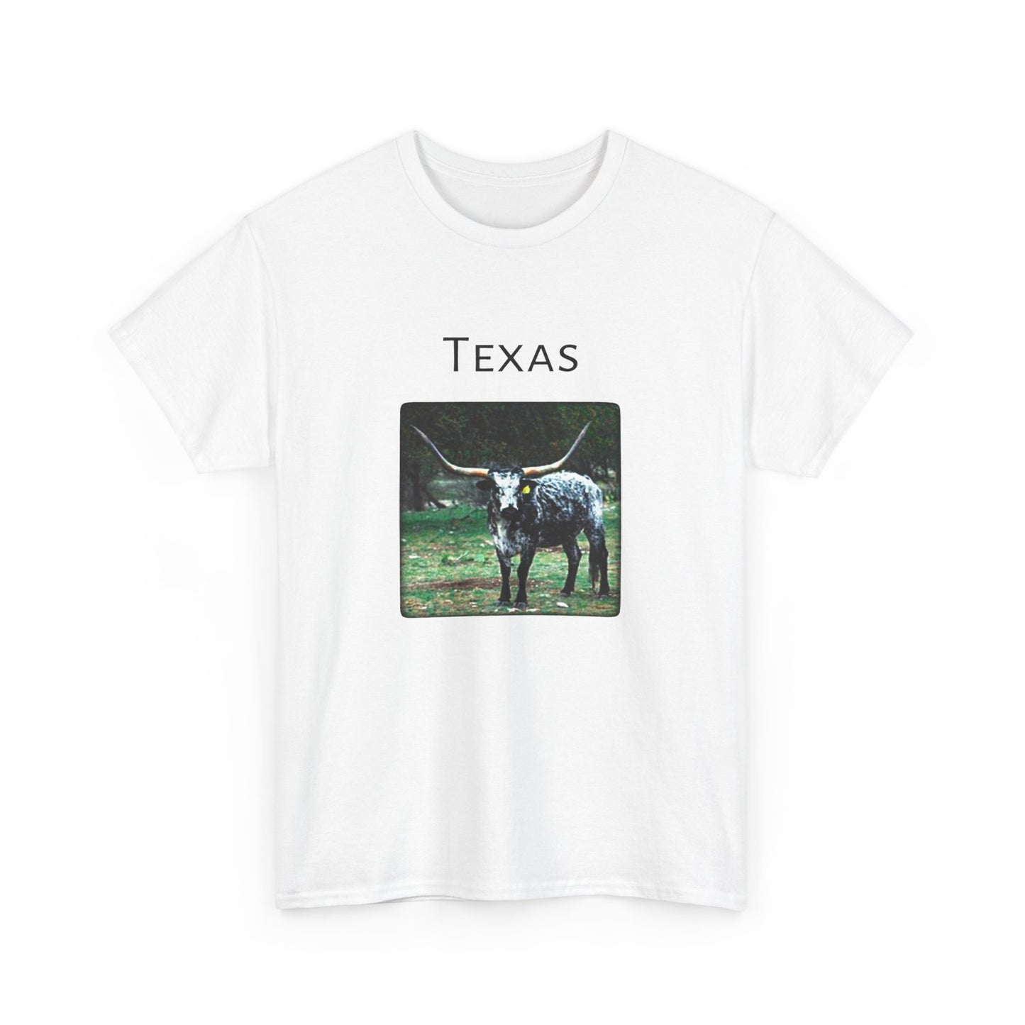 Texas Unisex Heavy Cotton Tee