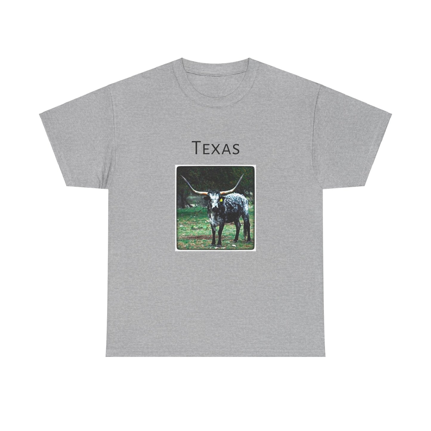 Texas Unisex Heavy Cotton Tee