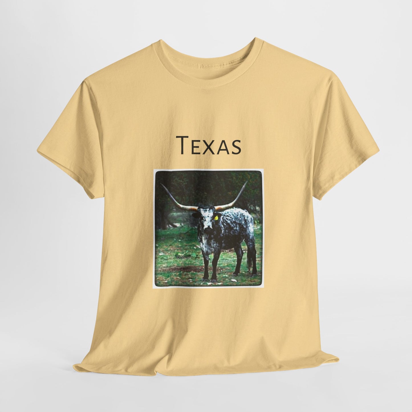 Texas Unisex Heavy Cotton Tee