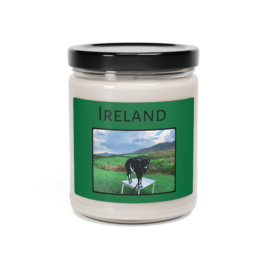 Ireland Goats Scented Soy Candle, 9oz