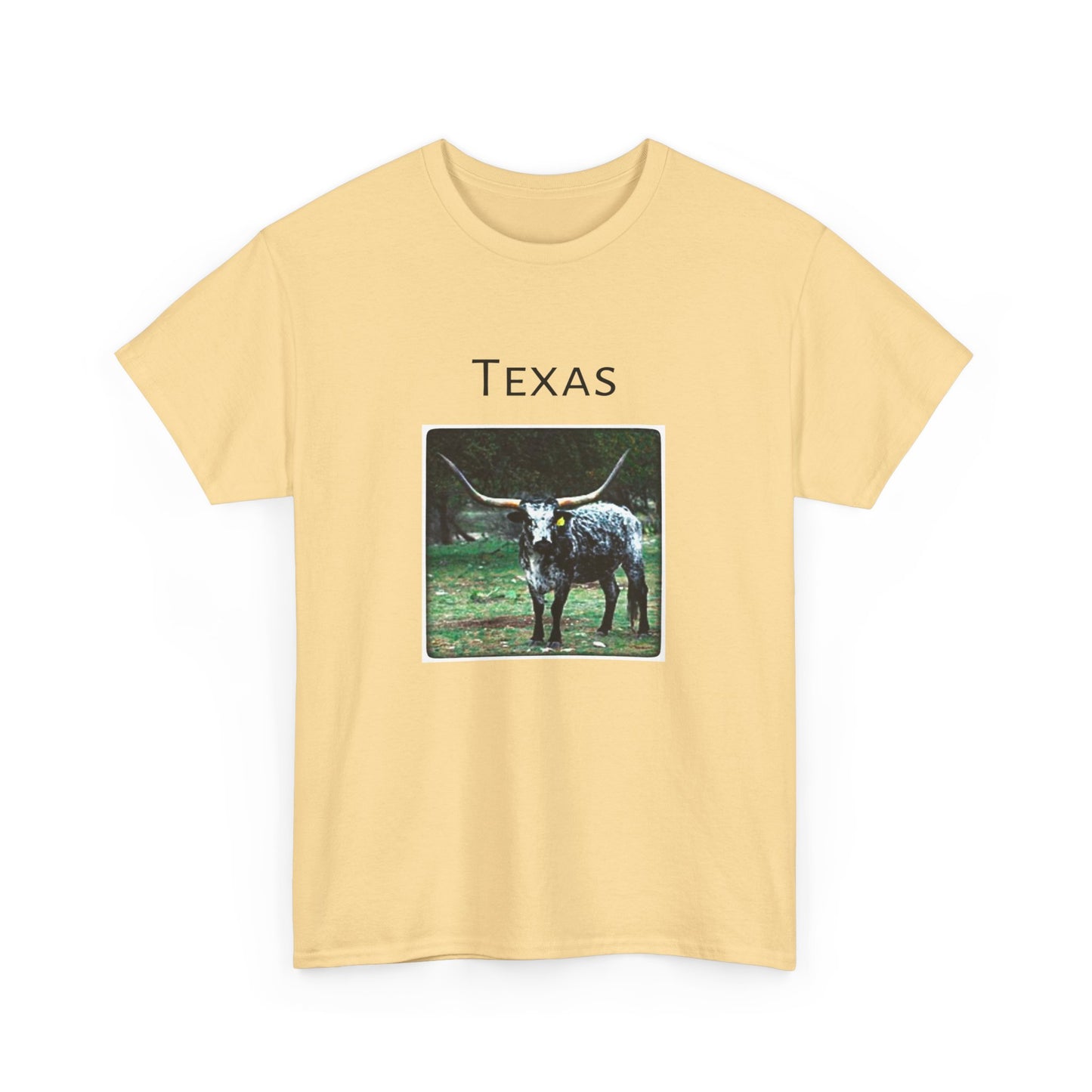 Texas Unisex Heavy Cotton Tee