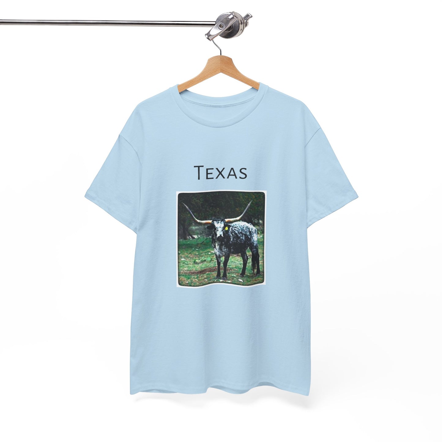 Texas Unisex Heavy Cotton Tee