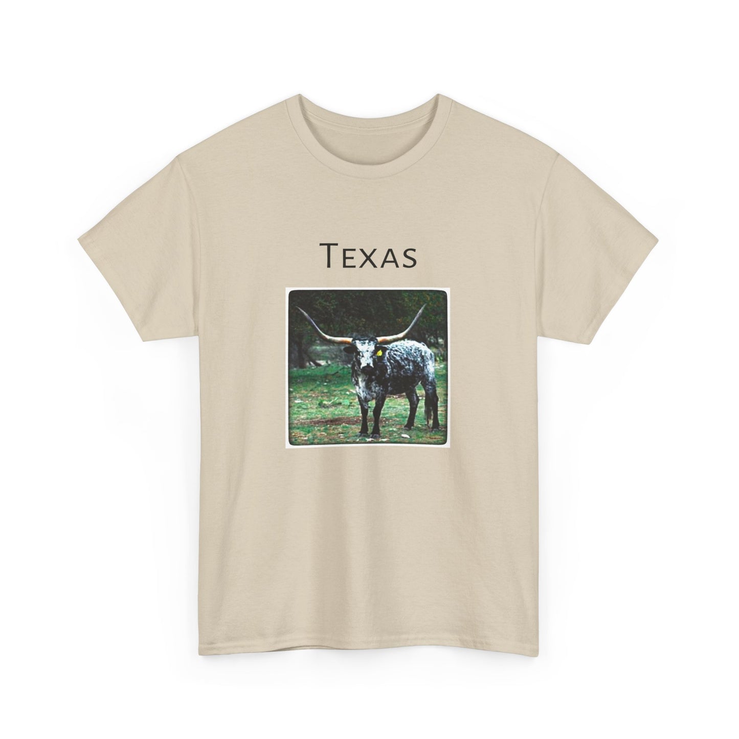 Texas Unisex Heavy Cotton Tee