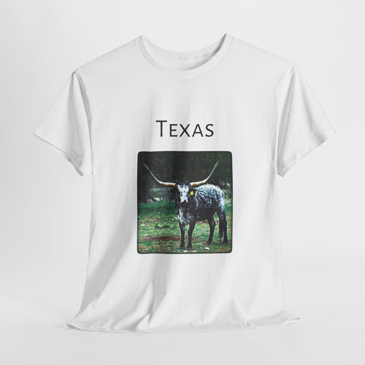 Texas Unisex Heavy Cotton Tee