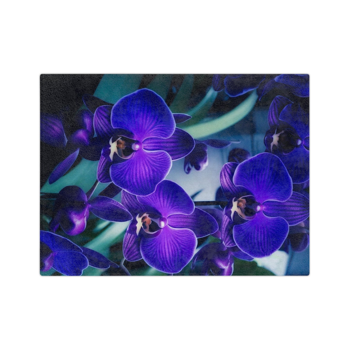 Purple Orchid Velveteen Microfiber Blanket