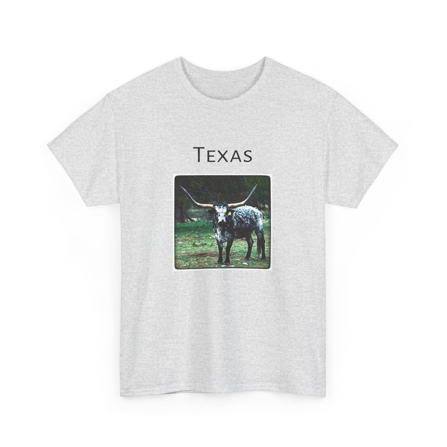 Texas Unisex Heavy Cotton Tee