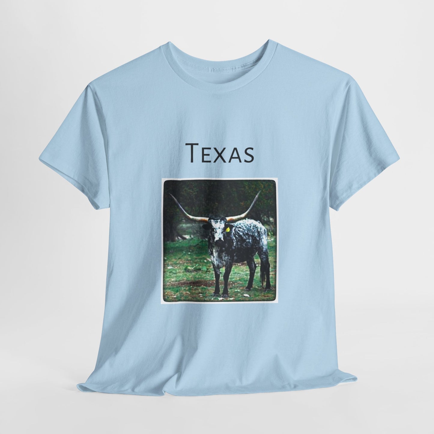 Texas Unisex Heavy Cotton Tee