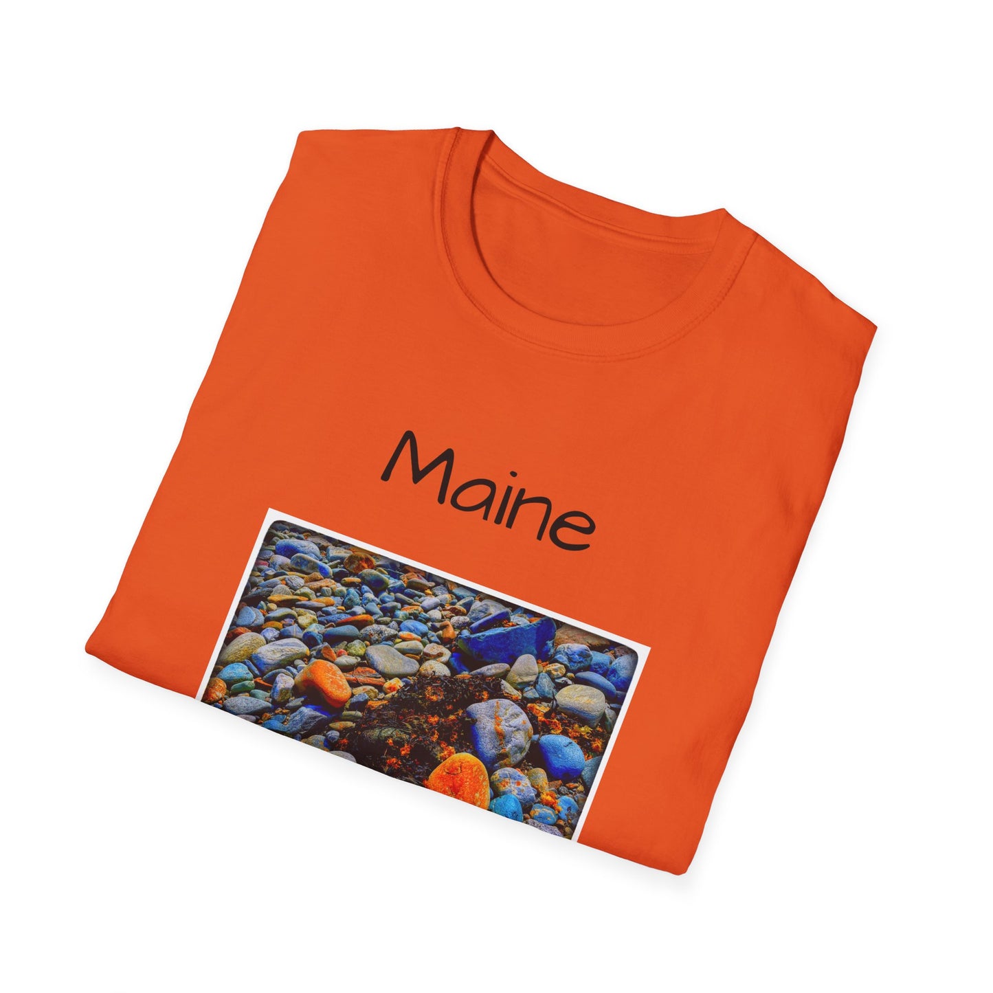 Maine Coastal Earth Unisex Softstyle T-Shirt now 30% off at checkout!