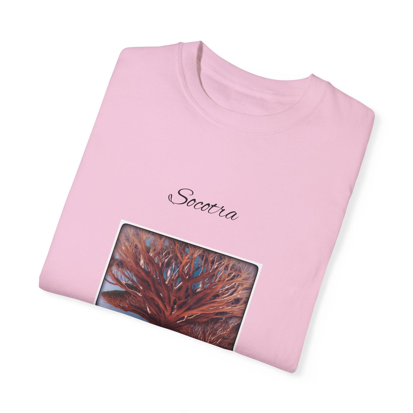 Socotra Unisex Garment-Dyed T-shirt