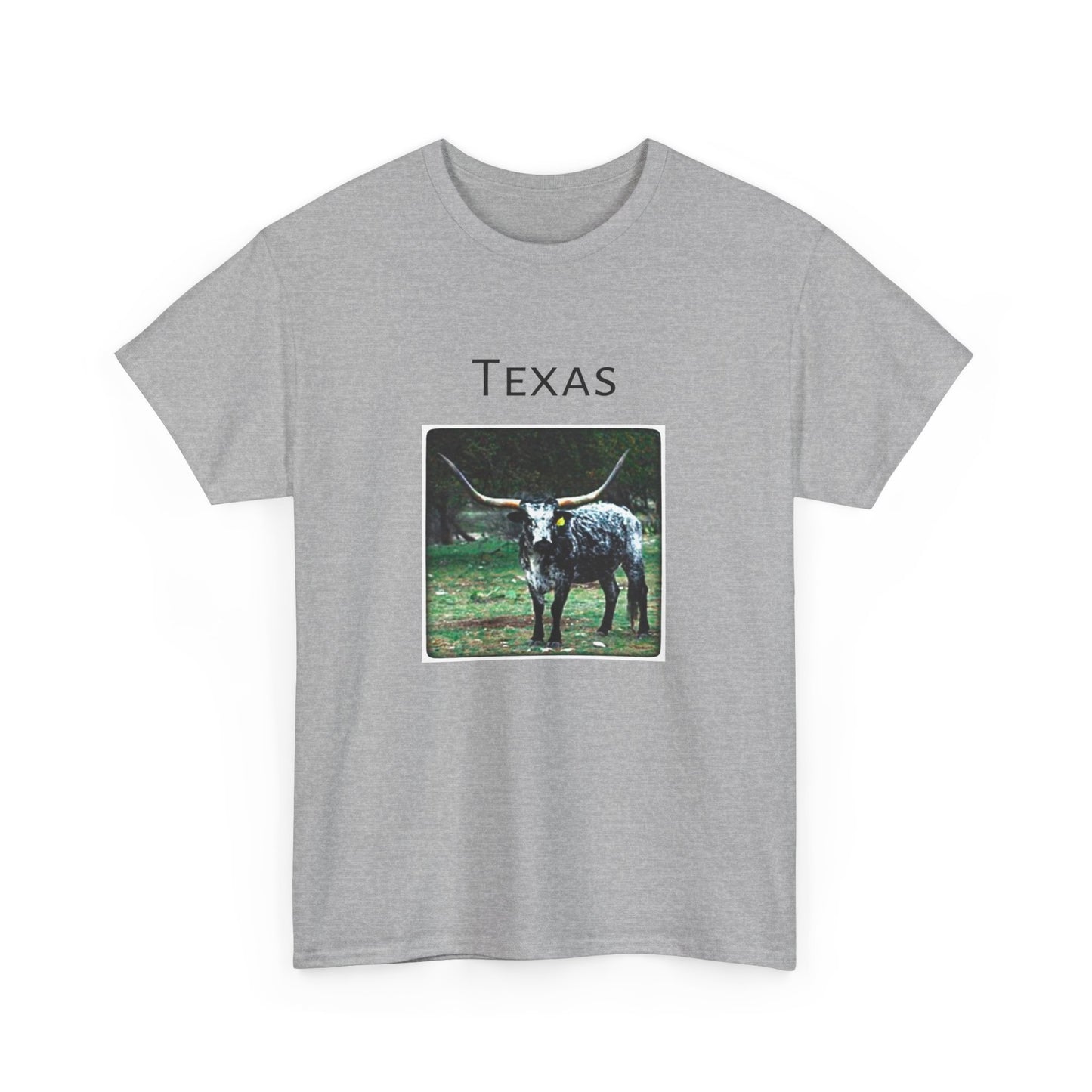 Texas Unisex Heavy Cotton Tee